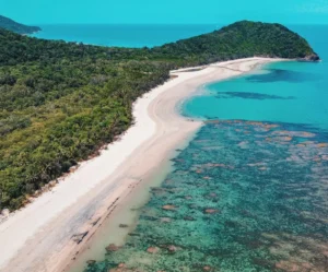 Daintree National Park