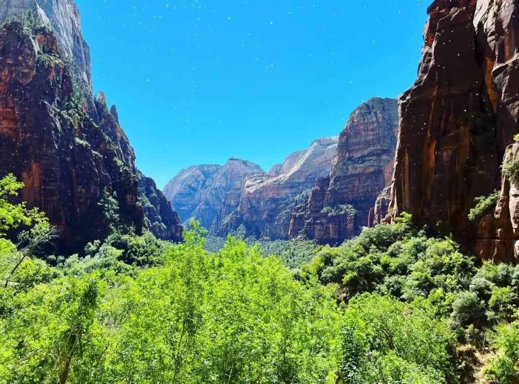 Weeping Rock Walking Track