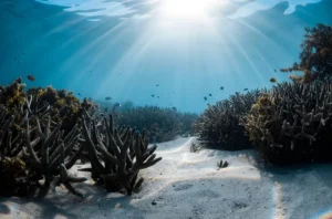 West Coast Australia