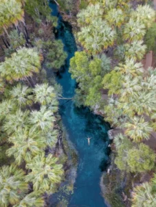 A Local's Guide to Darwin