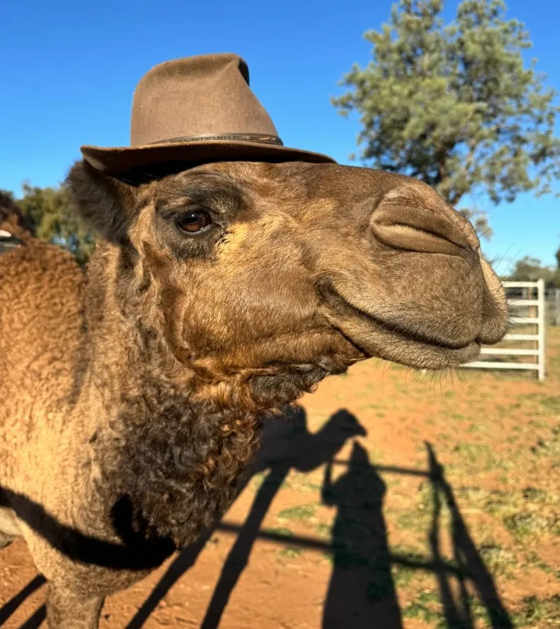 Exploring the Red Centre