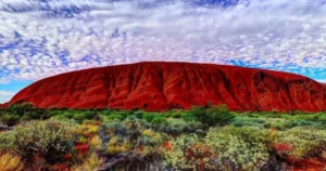 The Flora and Fauna of Uluru