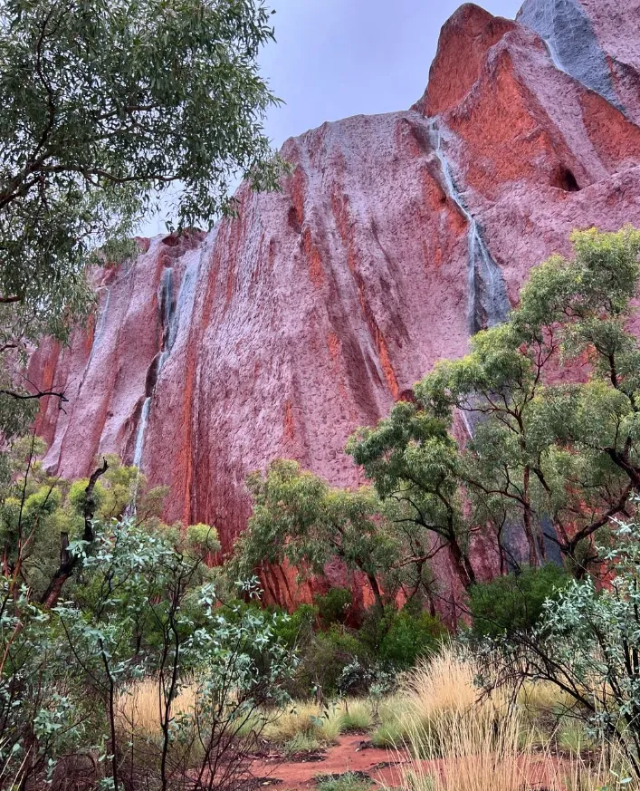 The Unique Ecosystem of Uluru