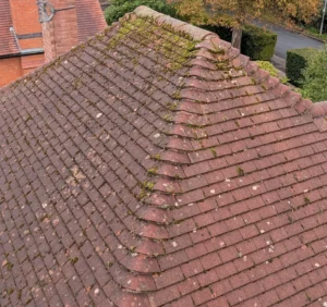 signs of roof damage