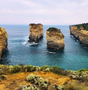 Great Ocean Road Otways drive