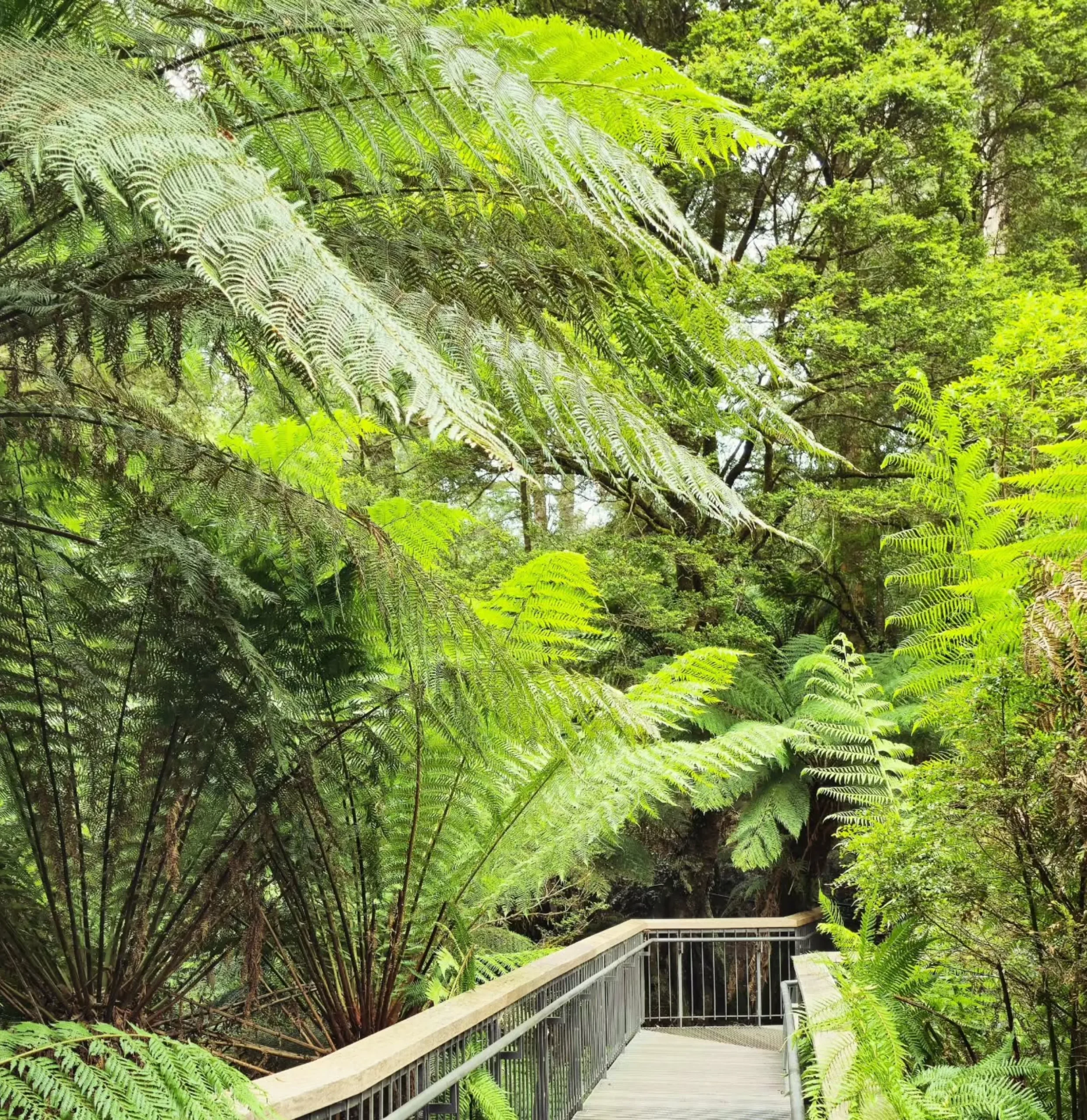 Great Ocean Road coastal vs inland