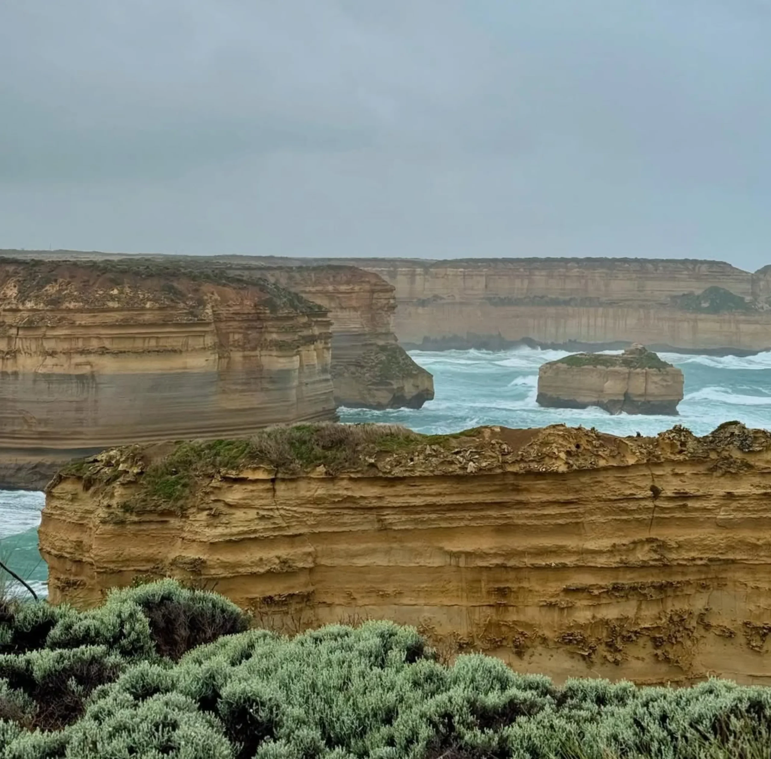 Great Ocean Road tours Otways