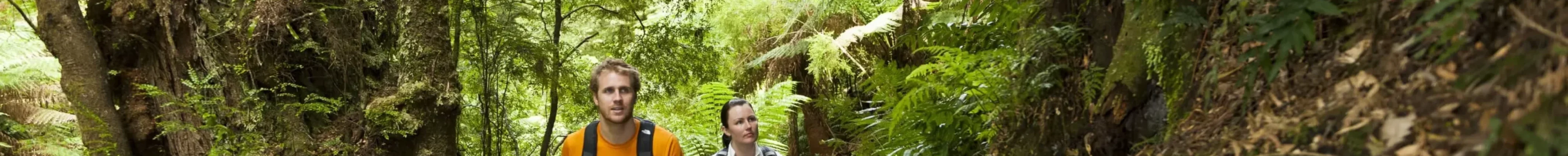 12 apostles melbourne