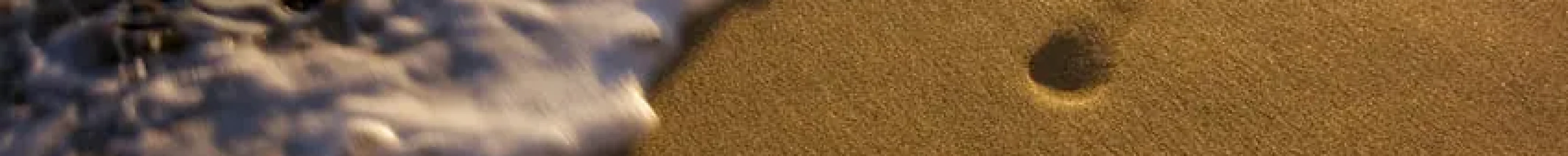 Foot Prints