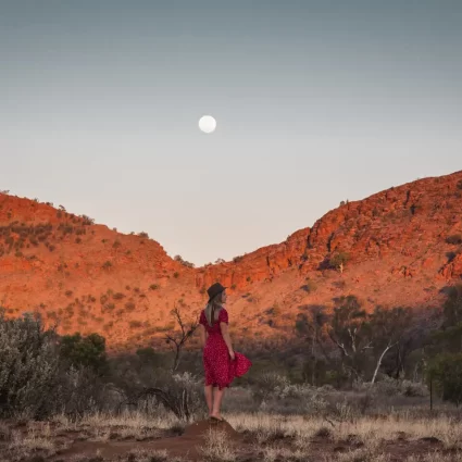 west macdonnell ranges full day tour
