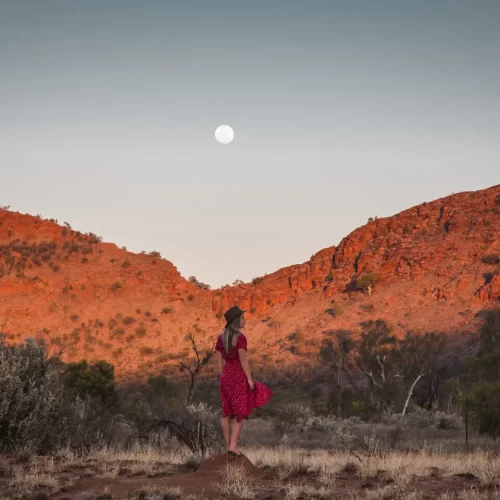 west macdonnell ranges full day tour