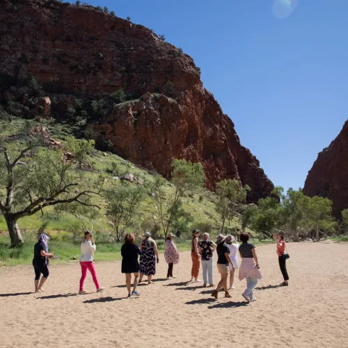 larapinta trail tours