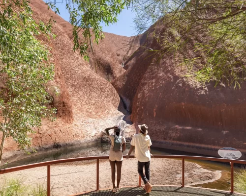 alice springs day tour