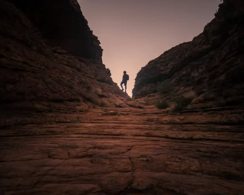 alice springs tours to ayers rock