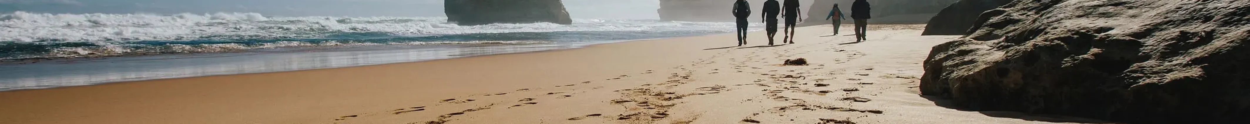 best great ocean road tours