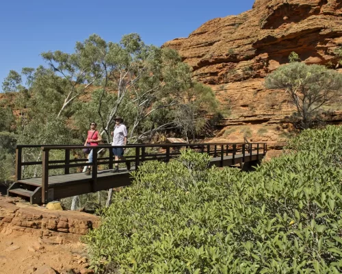 best tours ayers rock