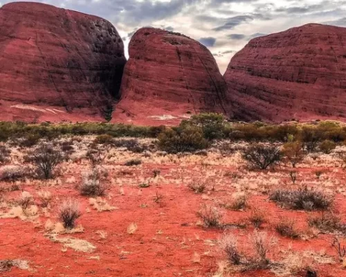 best tours uluru