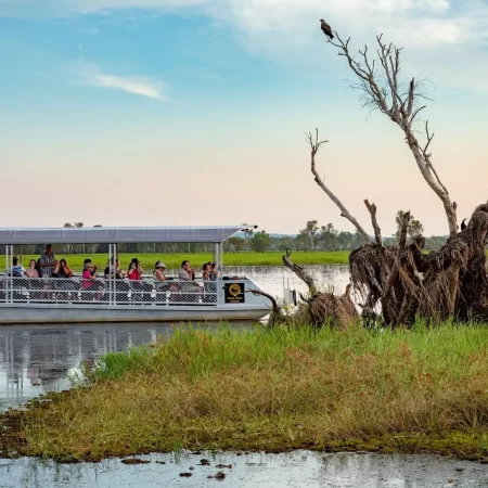 darwin tours to kakadu
