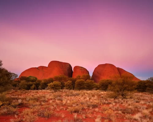 day tours alice springs