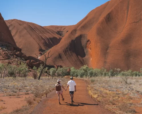 day trip to uluru from alice springs