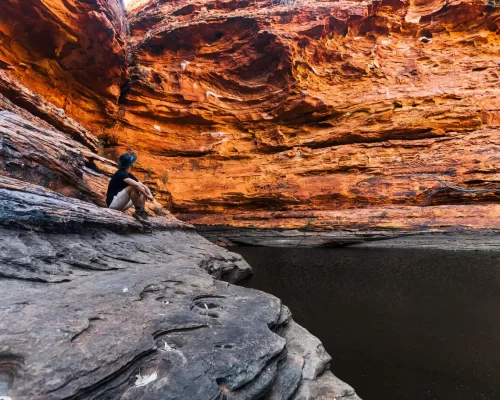 day trips alice springs