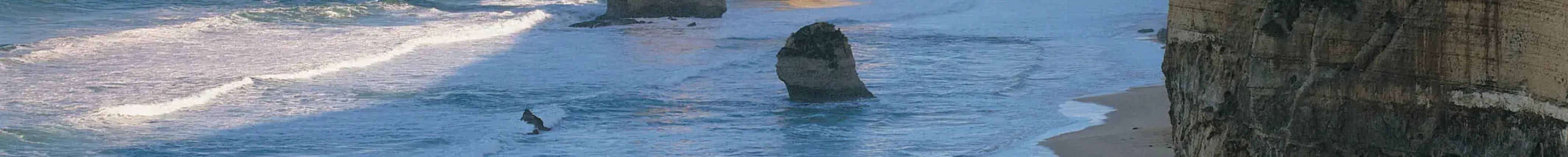 great ocean road trips