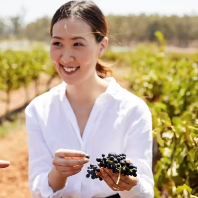 hunter valley wine tour packages