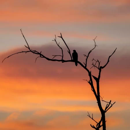 kakadu national park day tour