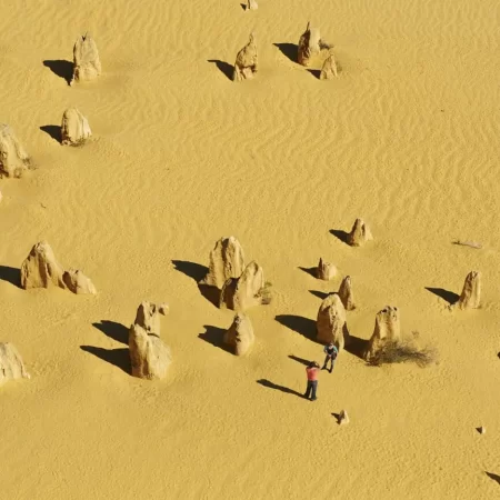 pinnacles tour from perth