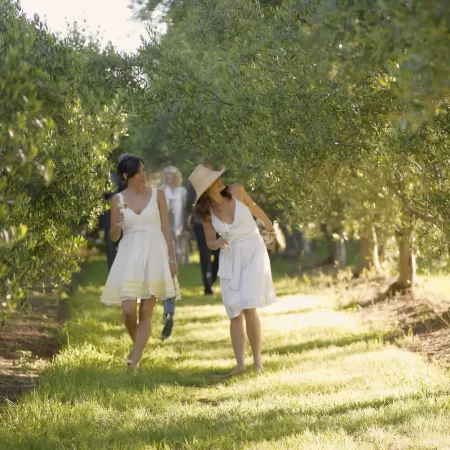 private mornington peninsula wine tours