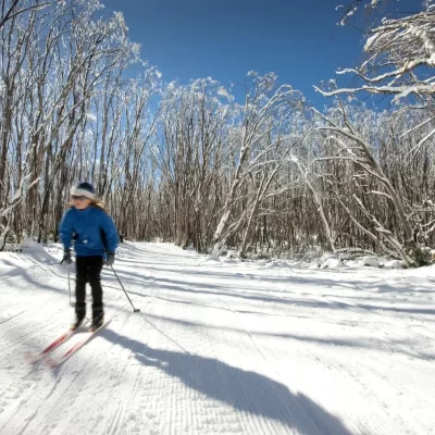 snowy mountains trip
