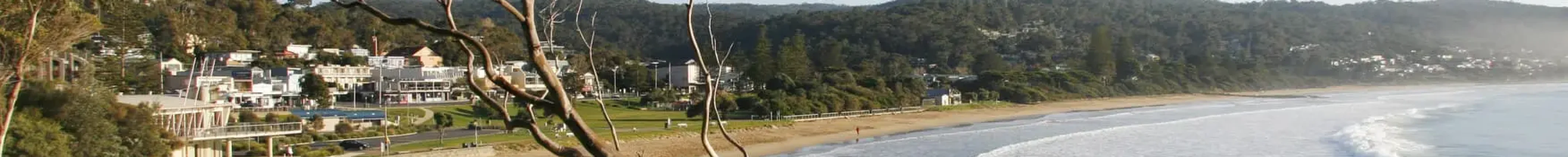 the great ocean road tours