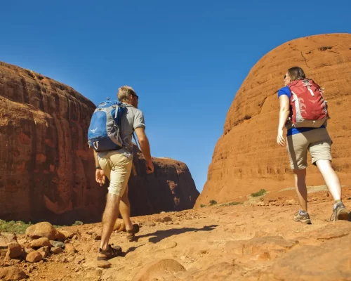 tour uluru from alice springs