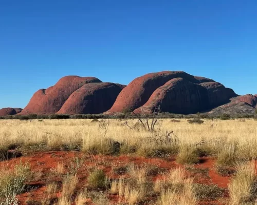 tours at uluru