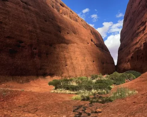 trip to uluru
