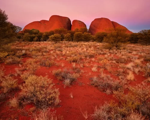 trip uluru