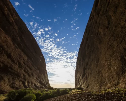uluru to alice springs tour