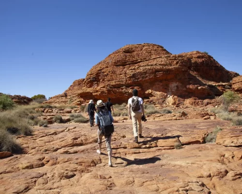 uluru tour