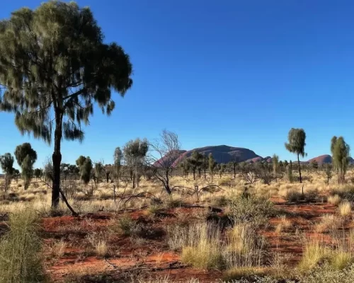 uluru tours from melbourne