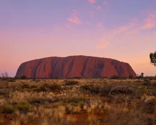 uluru tours