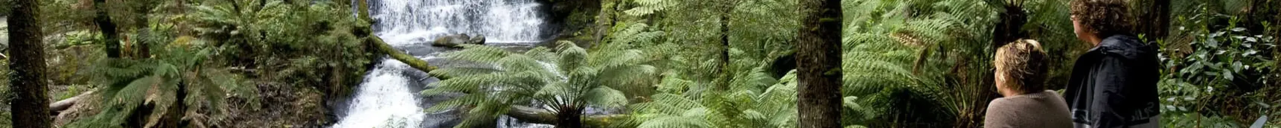 visionsofvictoria