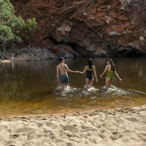 larapinta tours