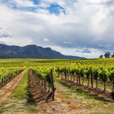 winery tours hunter valley nsw