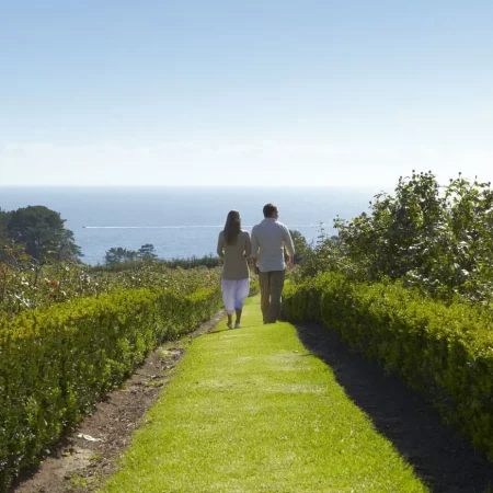 winery tours mornington peninsula
