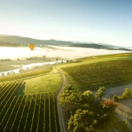 wine tour melbourne